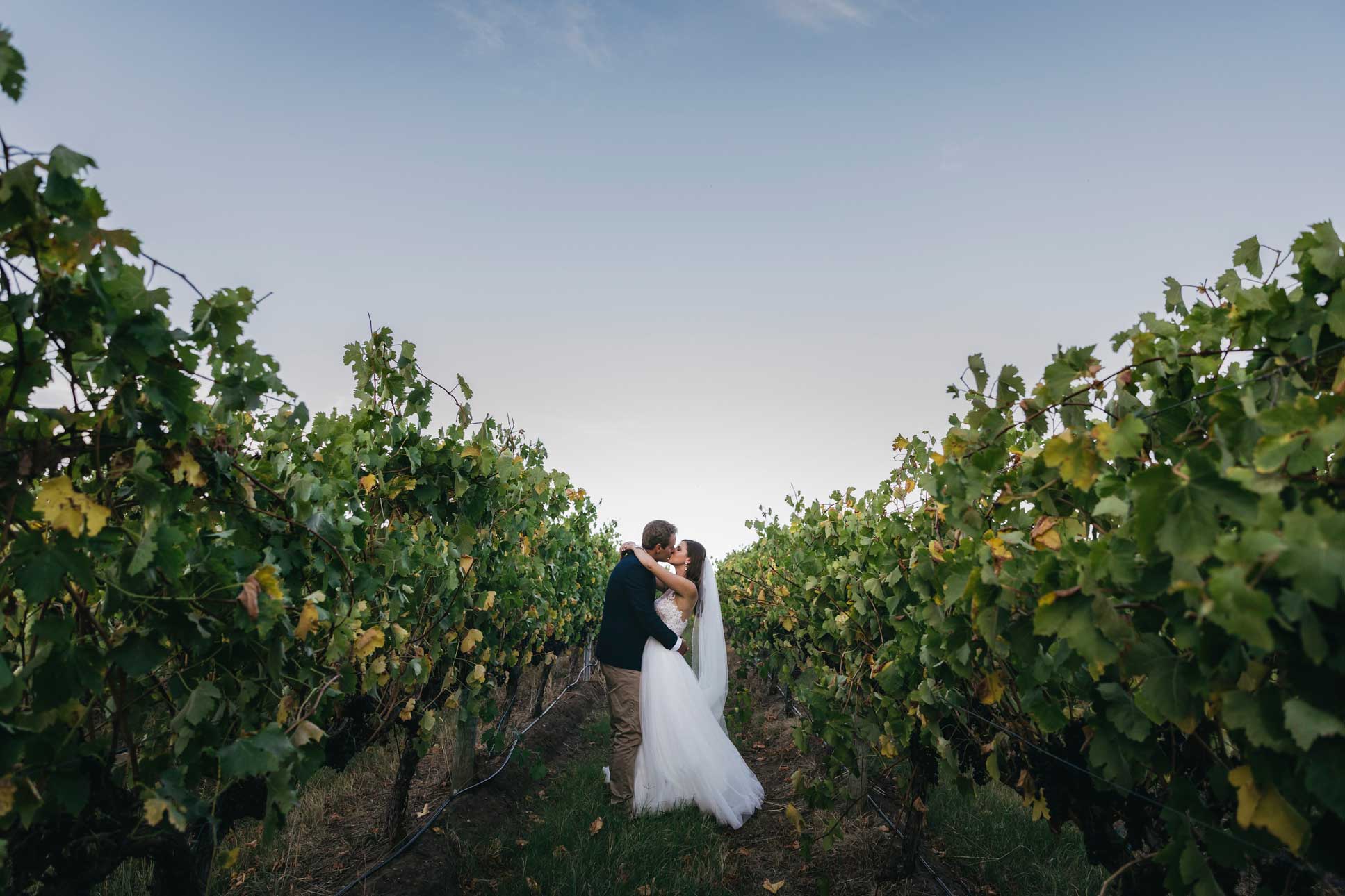 Howard Vineyard