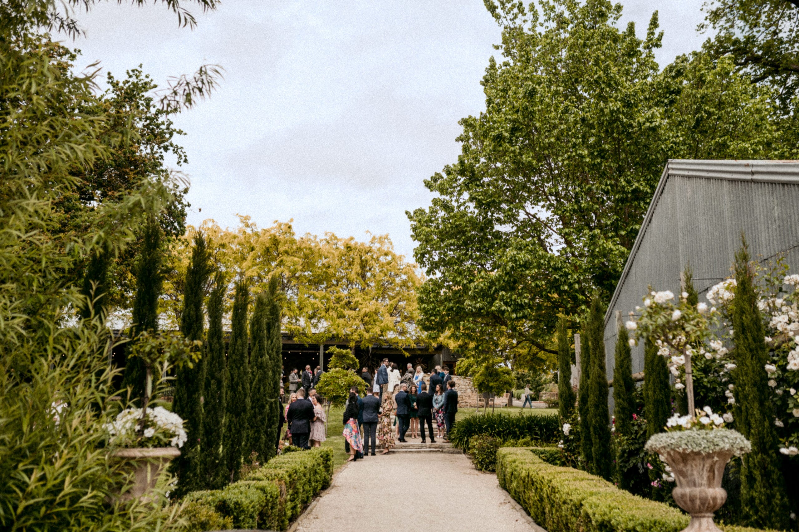 Howard Vineyard
